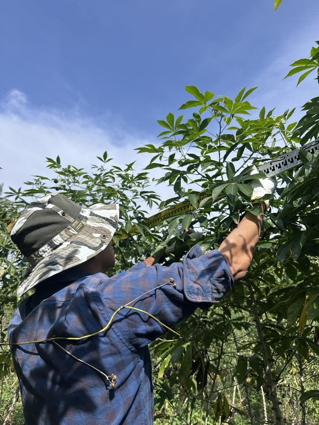 ภาพประกอบที่ 3