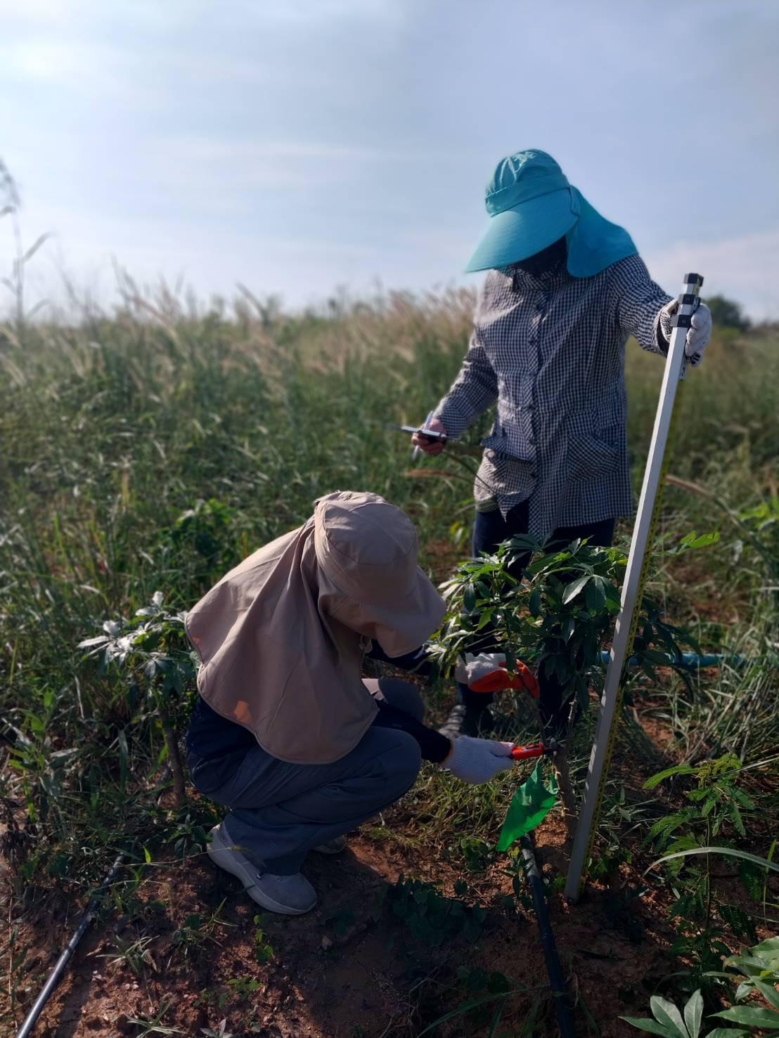 ภาพประกอบที่ 4