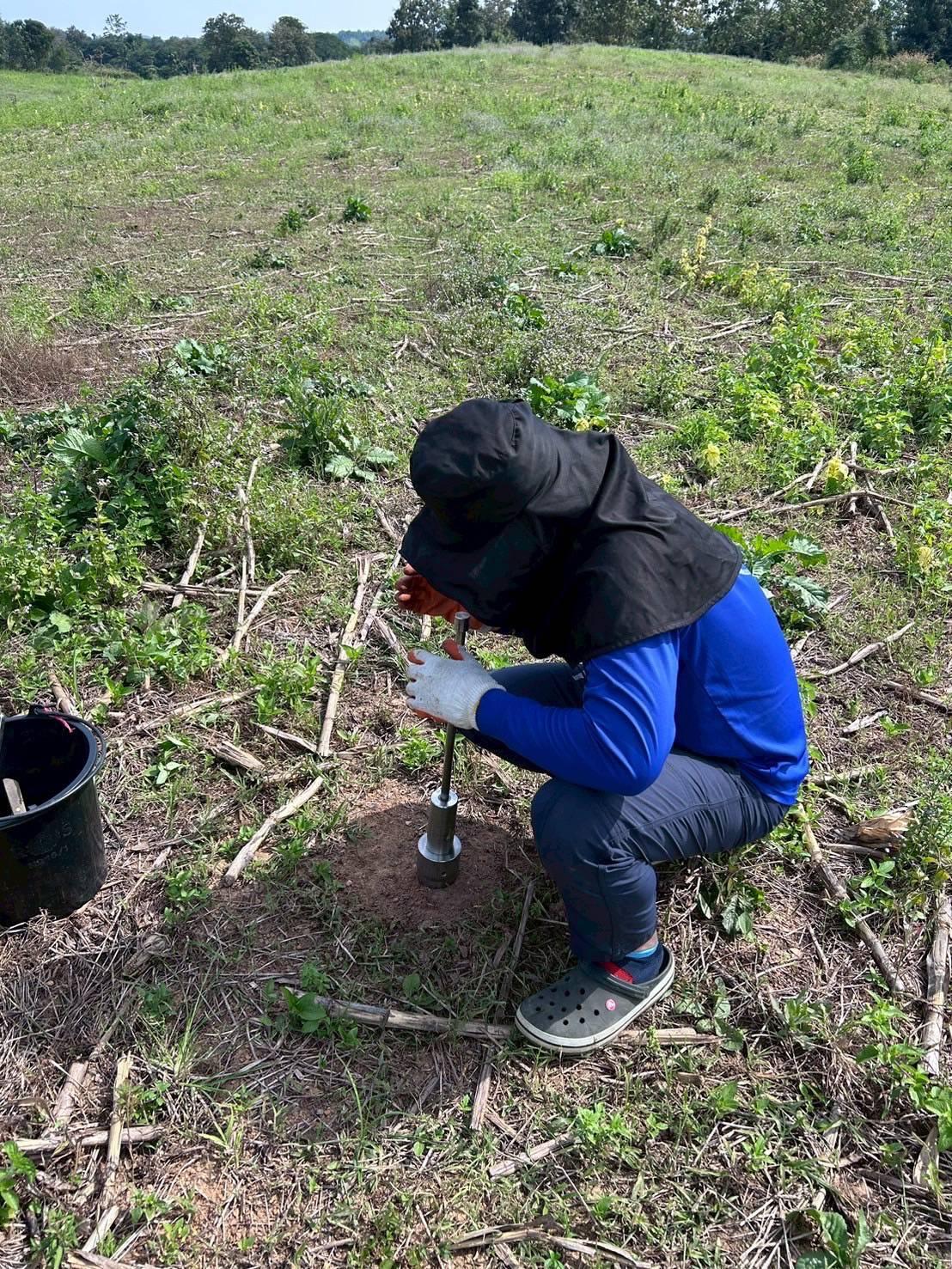 ภาพประกอบที่ 0