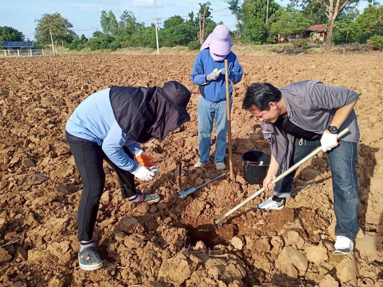 ภาพประกอบที่ 2