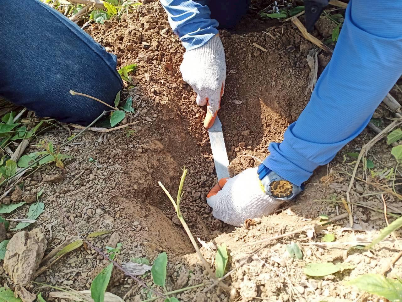 ภาพประกอบที่ 3