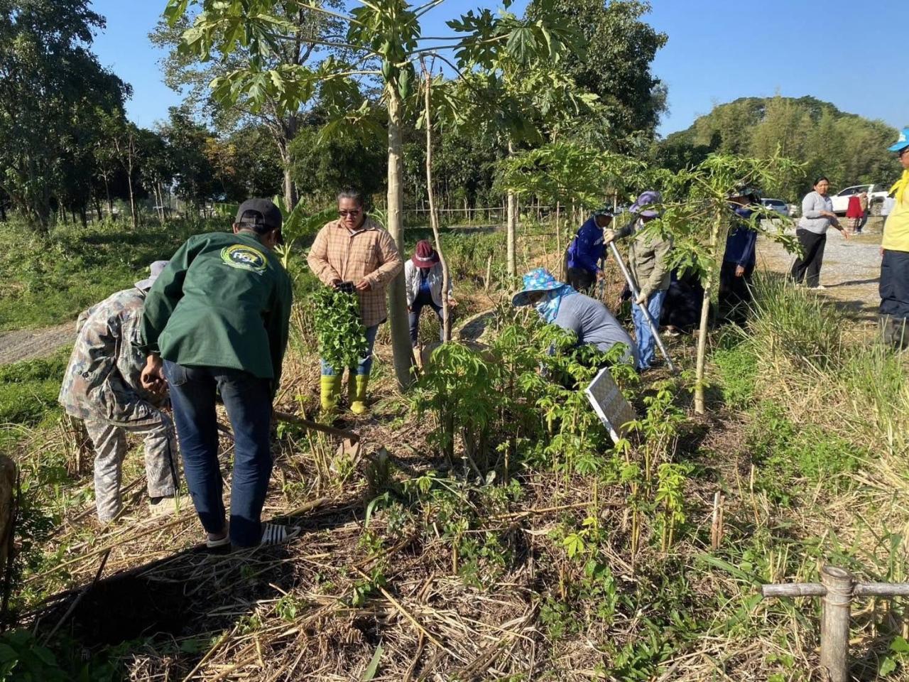 ภาพประกอบที่ 7