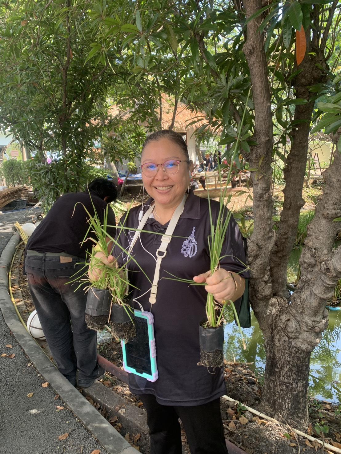 ภาพประกอบที่ 0