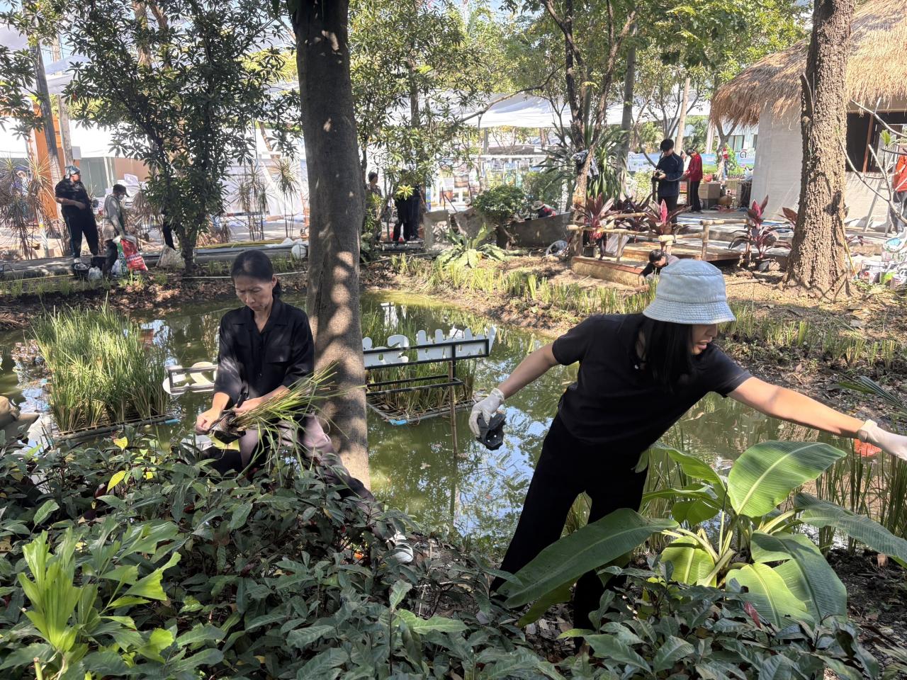 ภาพประกอบที่ 2