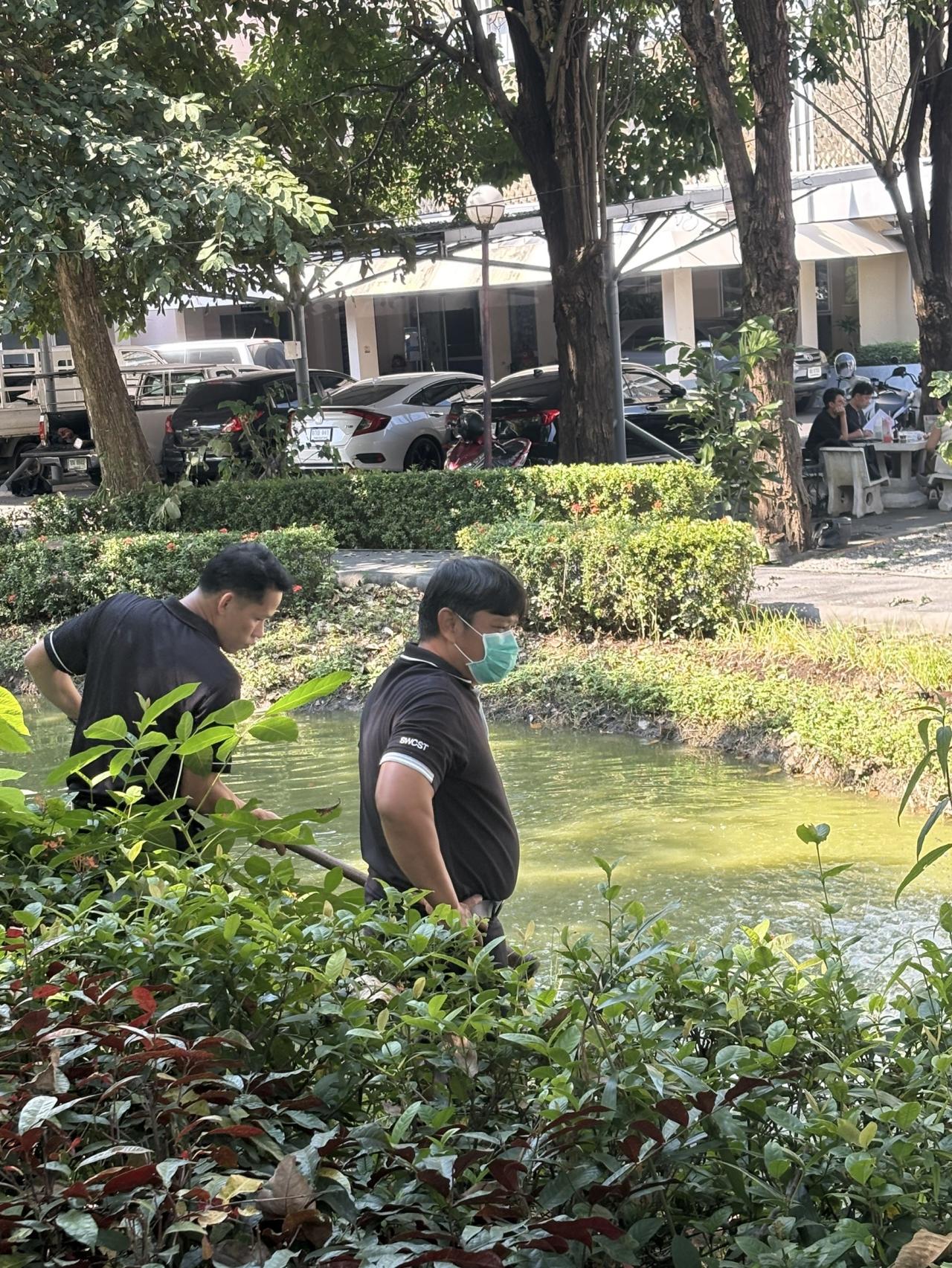 ภาพประกอบที่ 7