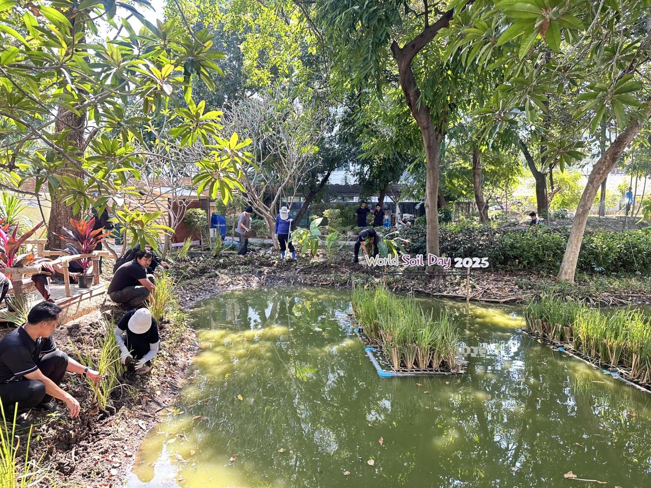 ภาพประกอบที่ 9