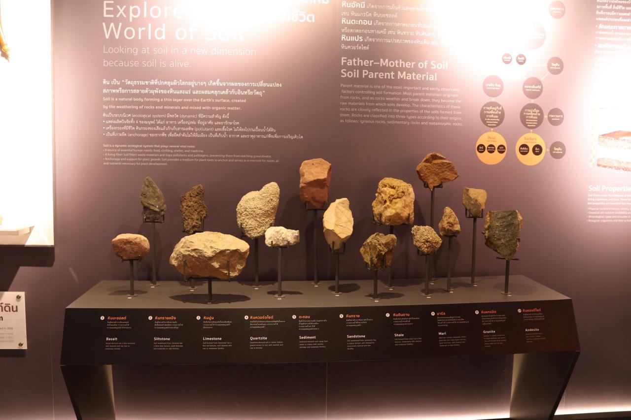 ภาพประกอบที่ 7