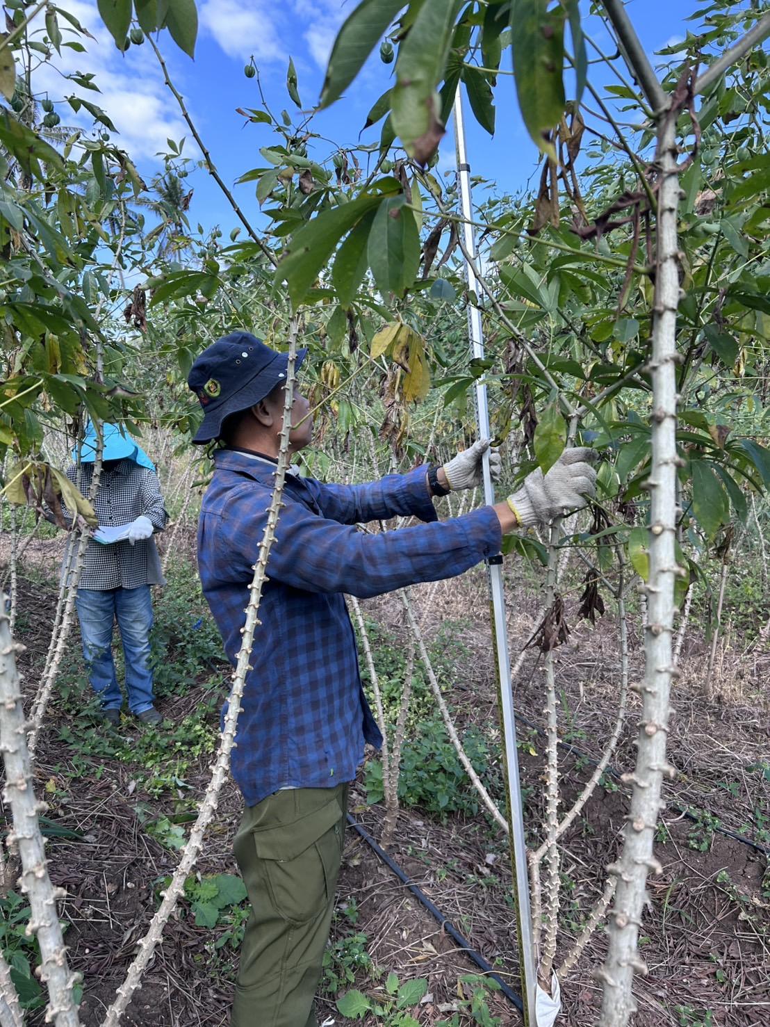 ภาพประกอบที่ 3