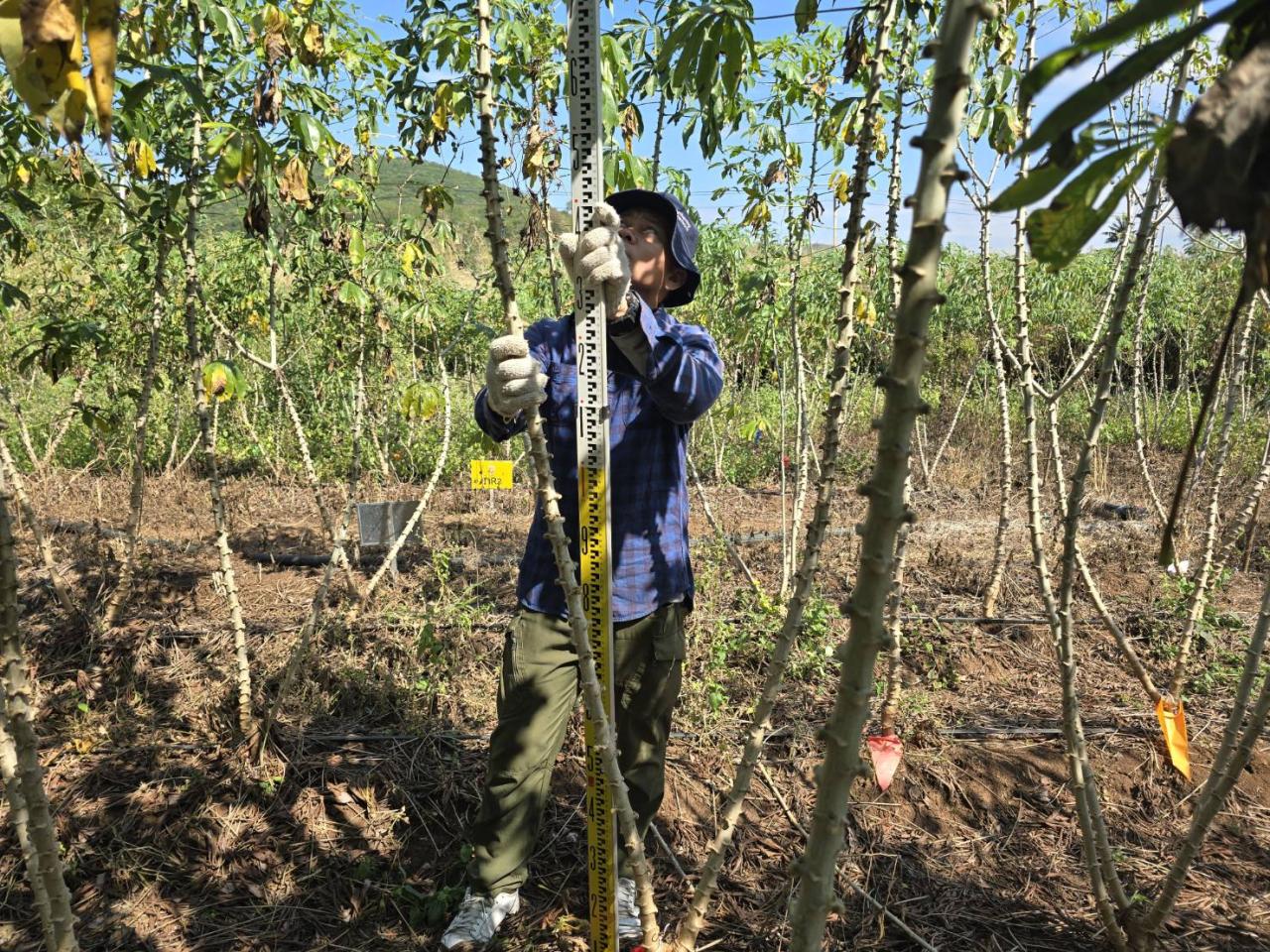 ภาพประกอบที่ 5