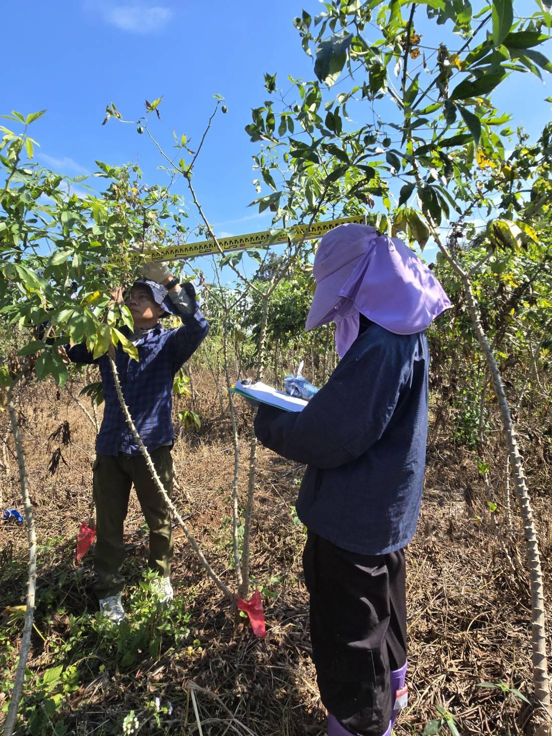ภาพประกอบที่ 6