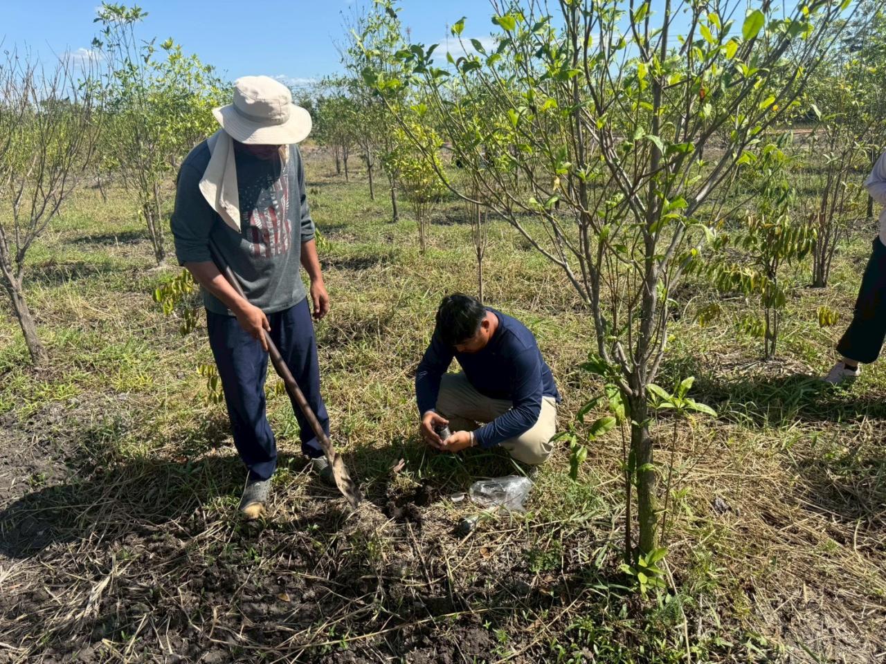 ภาพประกอบที่ 4