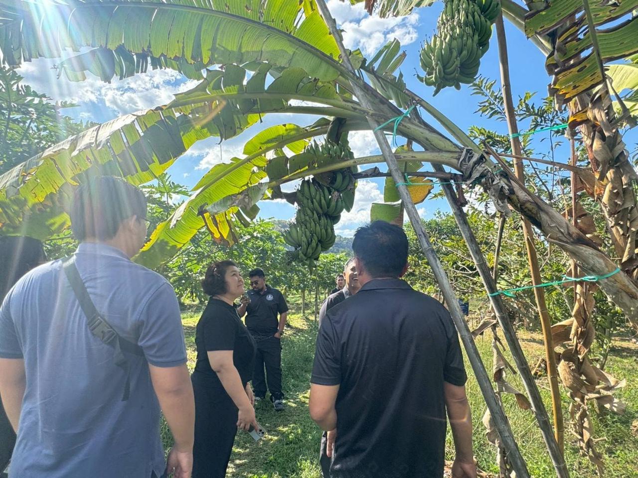 ภาพประกอบที่ 5