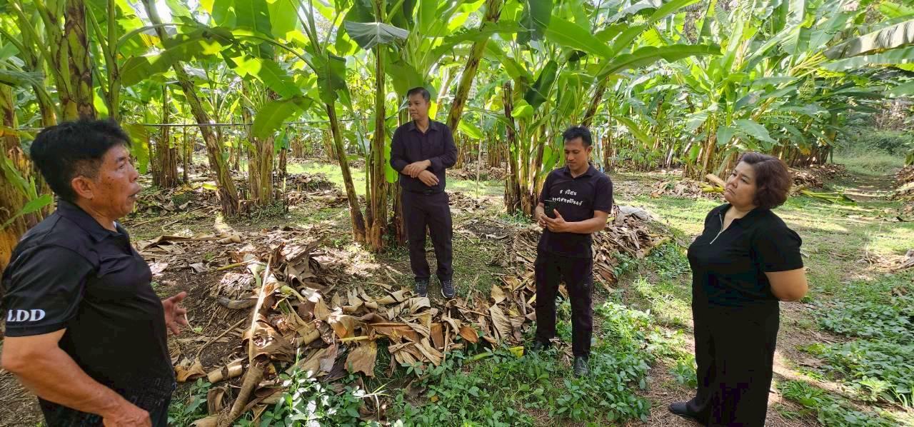 ภาพประกอบที่ 8