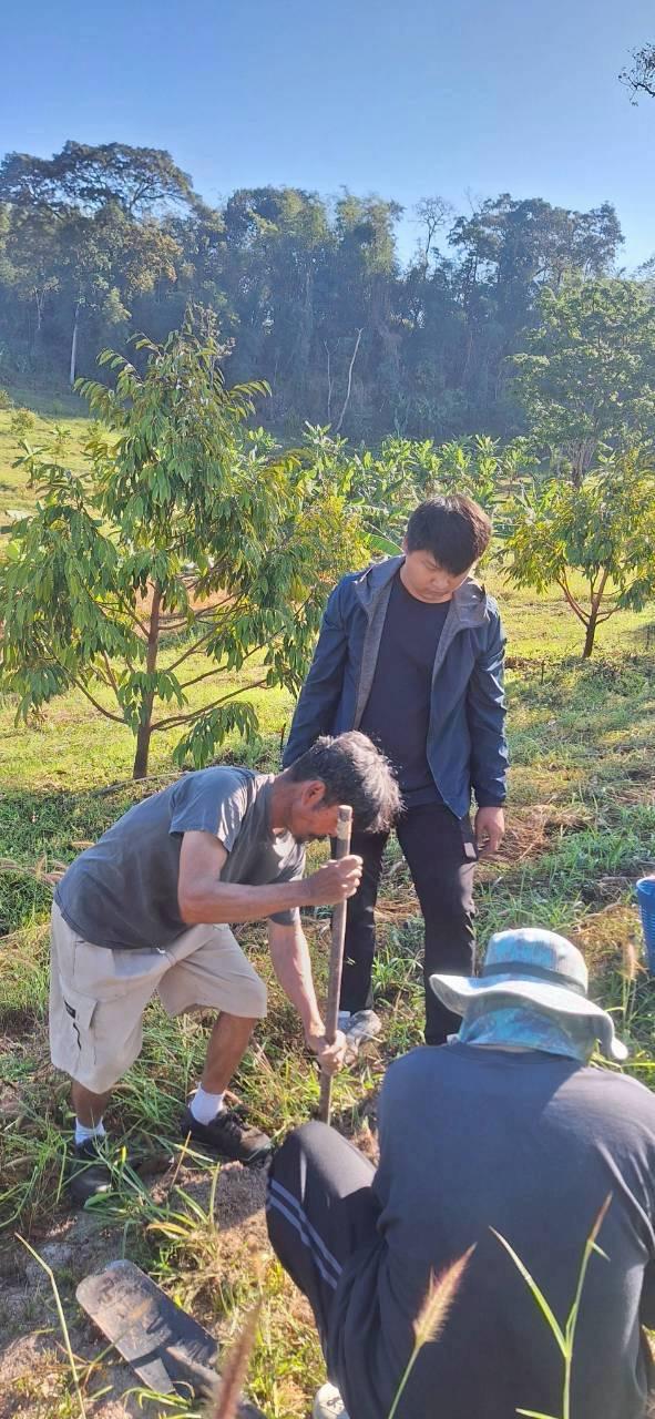 ภาพประกอบที่ 1