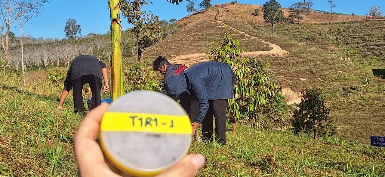 ภาพประกอบที่ 3