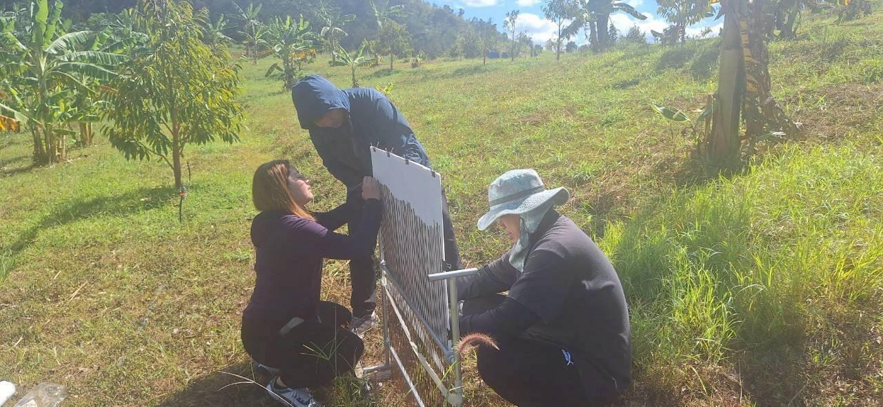 ภาพประกอบที่ 4