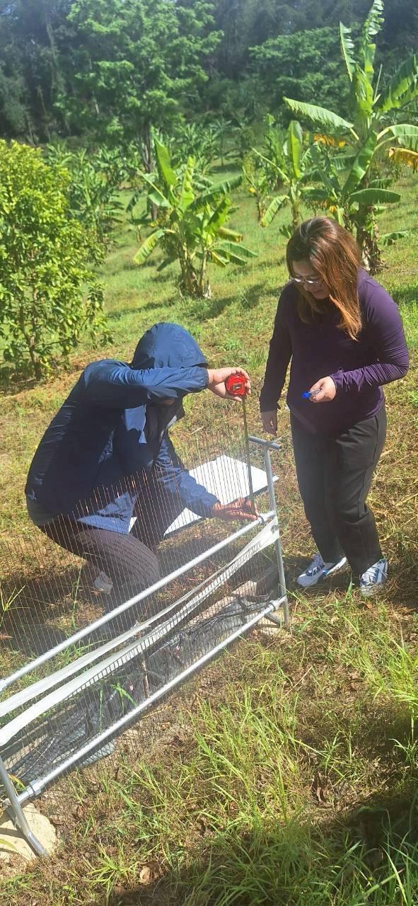 ภาพประกอบที่ 7