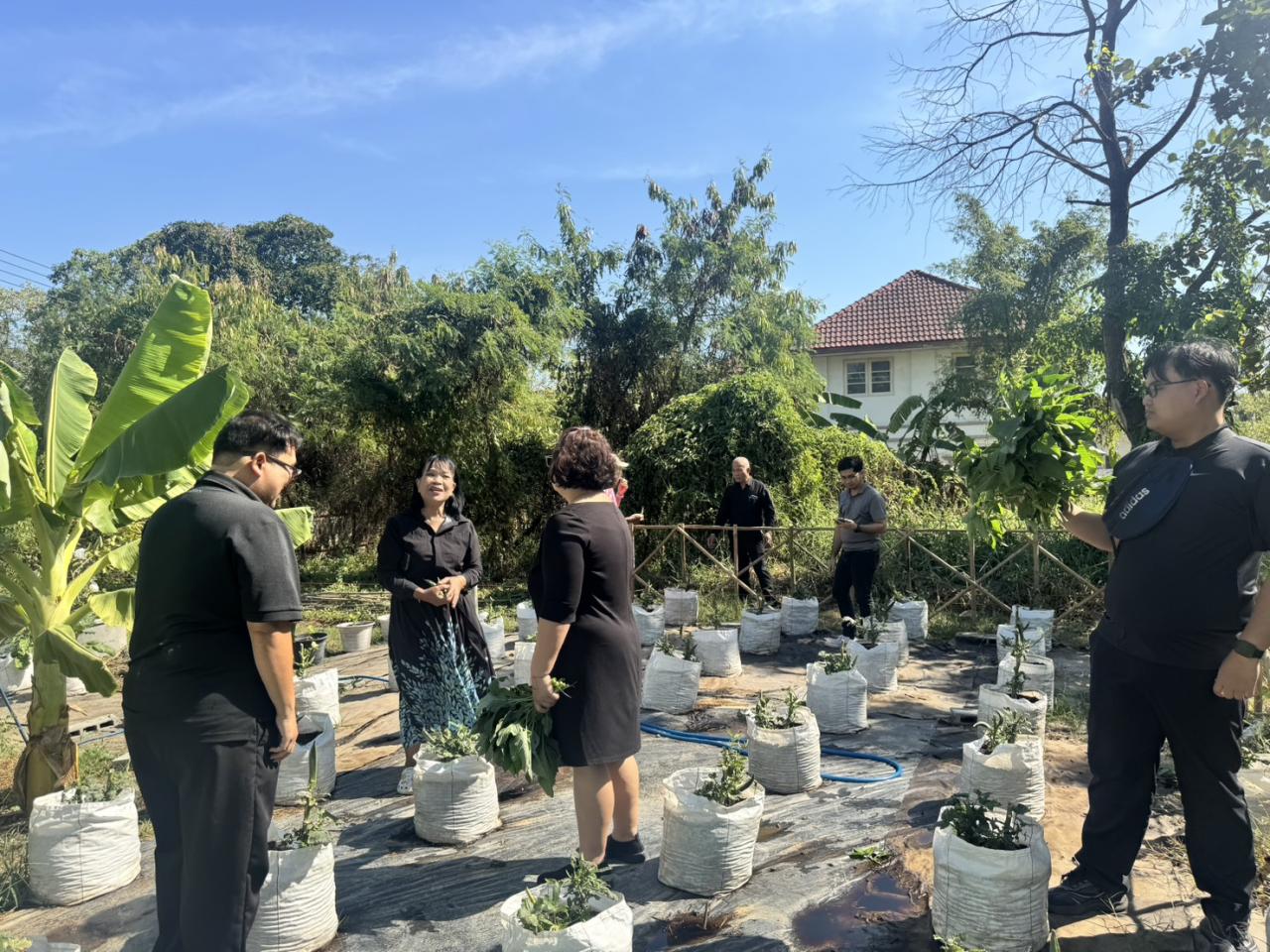 ภาพประกอบที่ 6