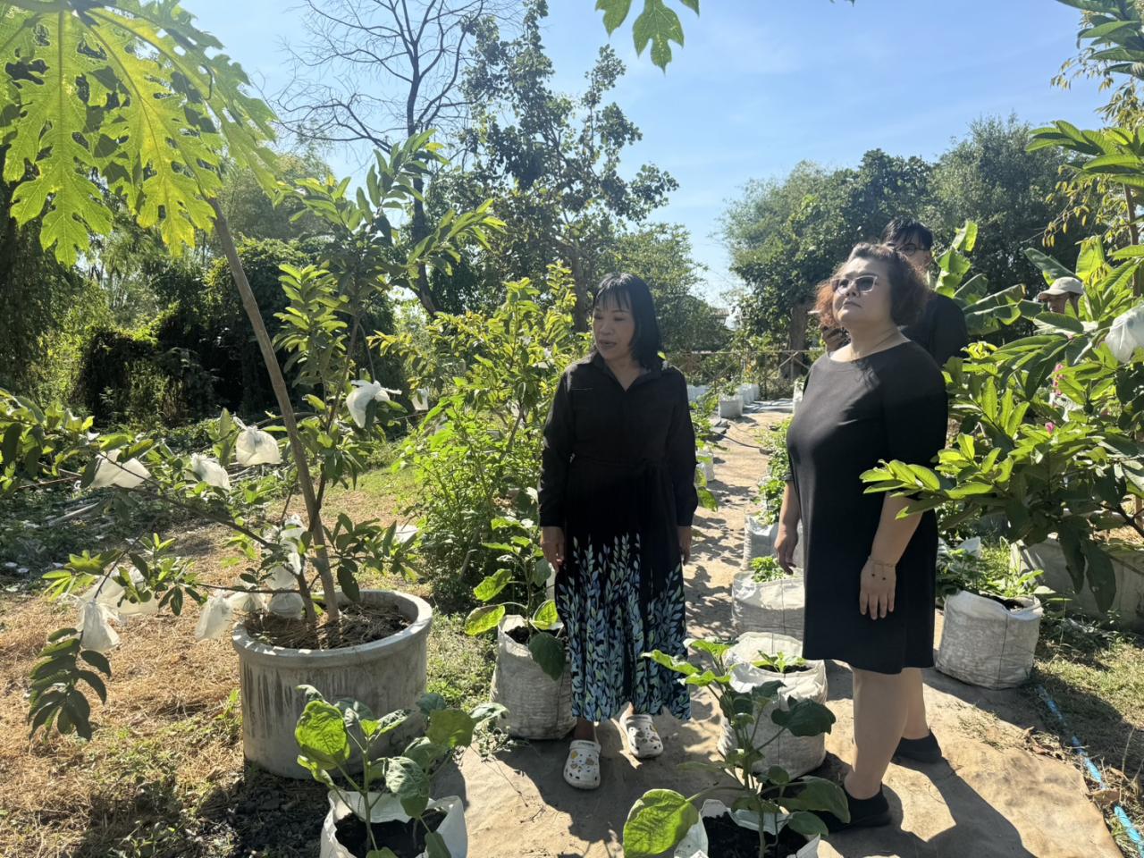 ภาพประกอบที่ 8