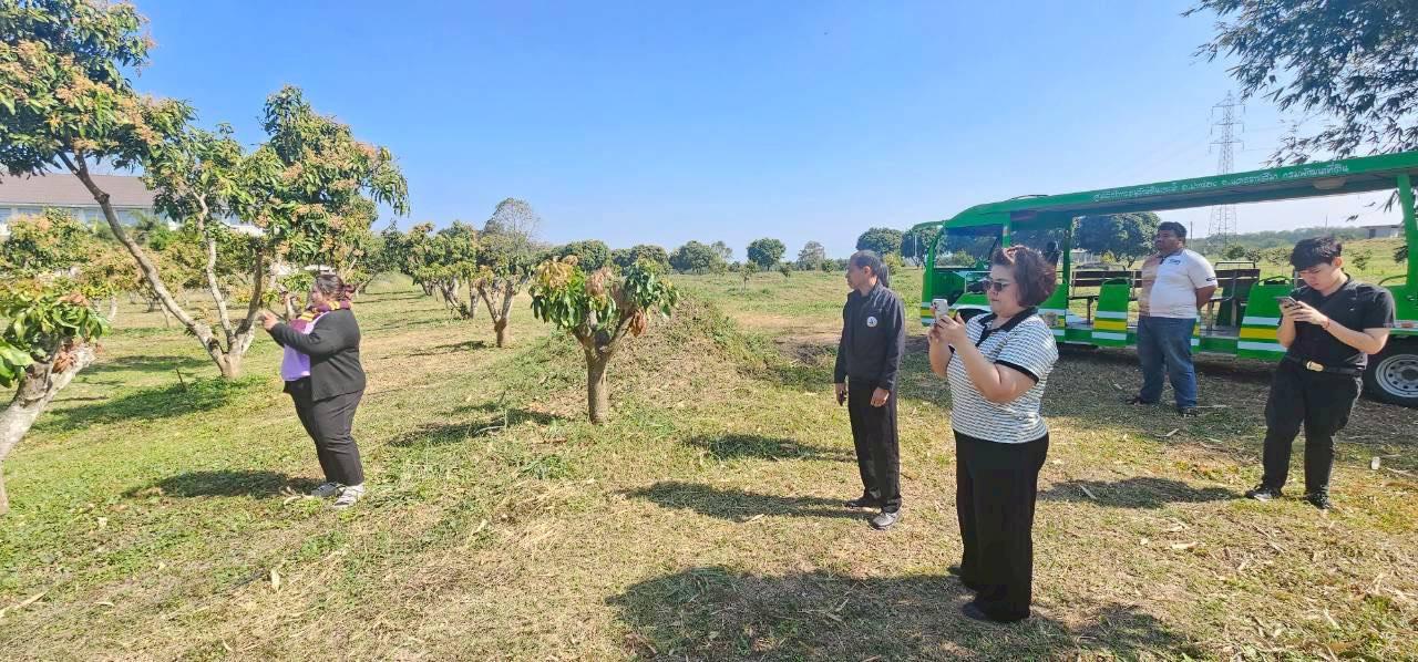 ภาพประกอบที่ 4