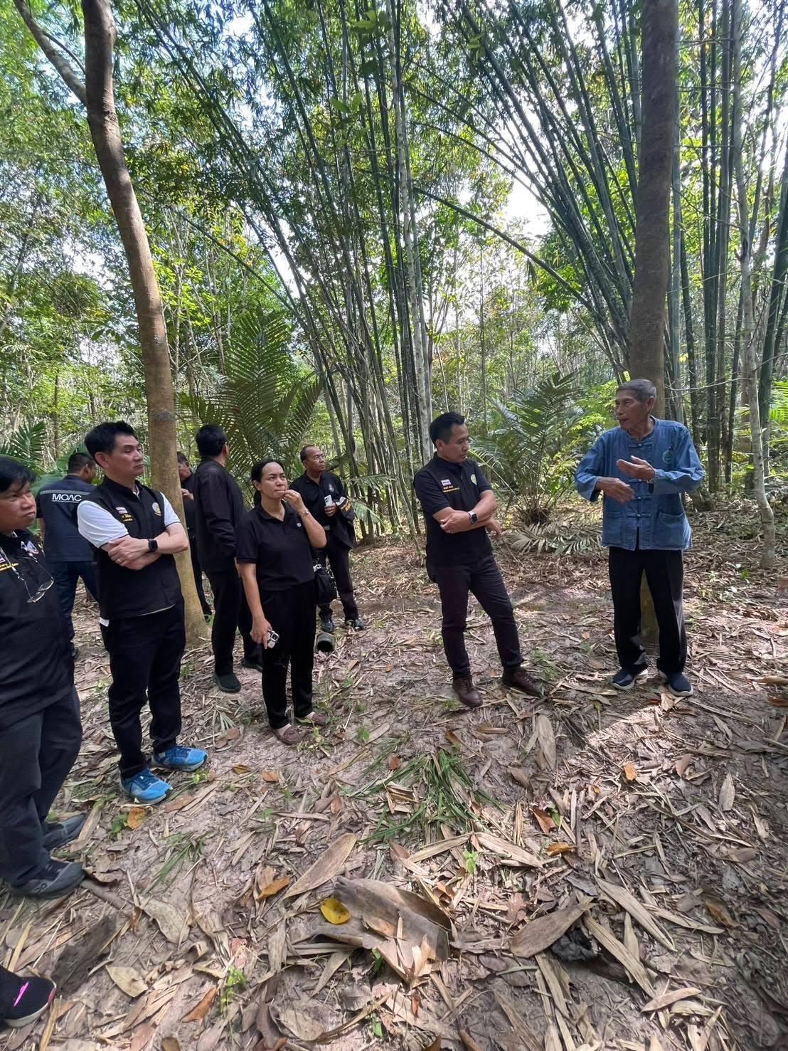 ภาพประกอบที่ 8