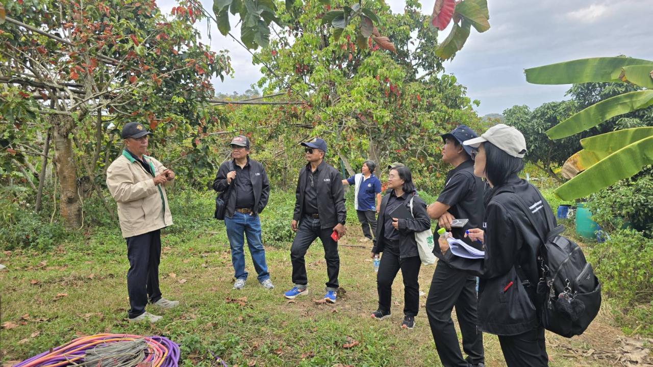 ภาพประกอบที่ 6