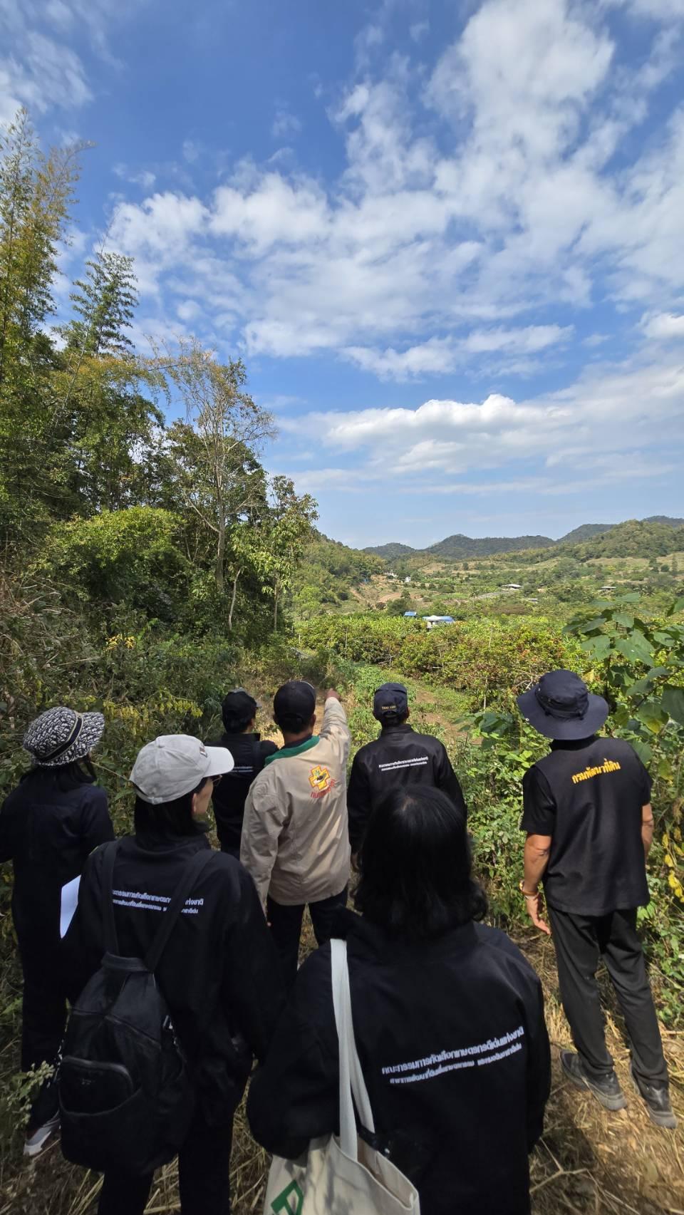 ภาพประกอบที่ 8