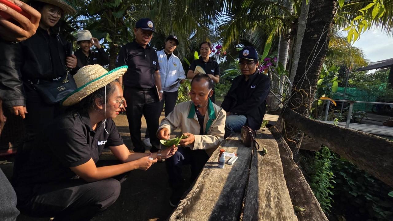 ภาพประกอบที่ 3