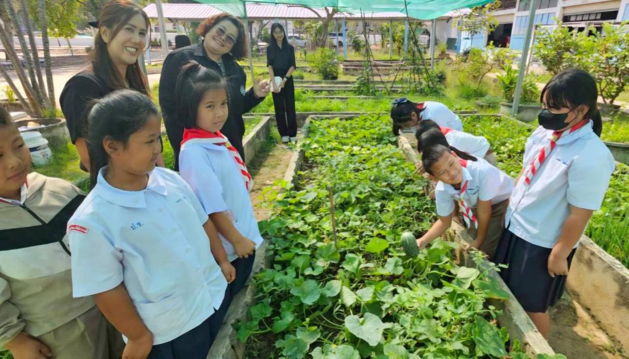 ภาพประกอบที่ 4