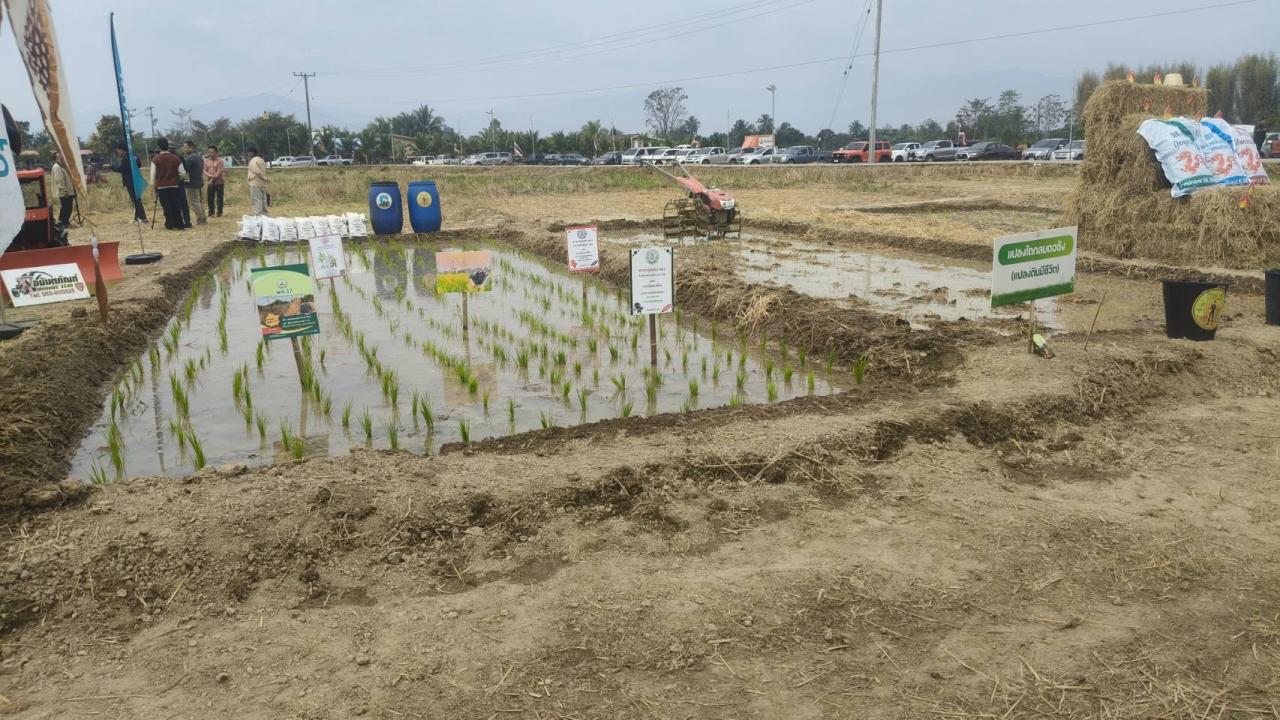 ภาพประกอบที่ 8