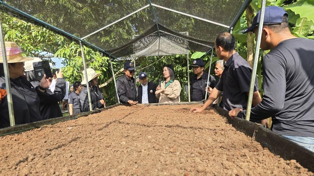 ภาพประกอบที่ 3