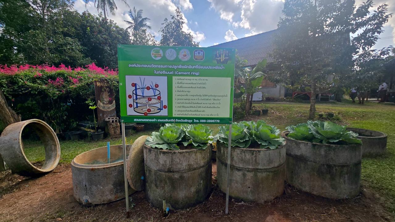 ภาพประกอบที่ 8