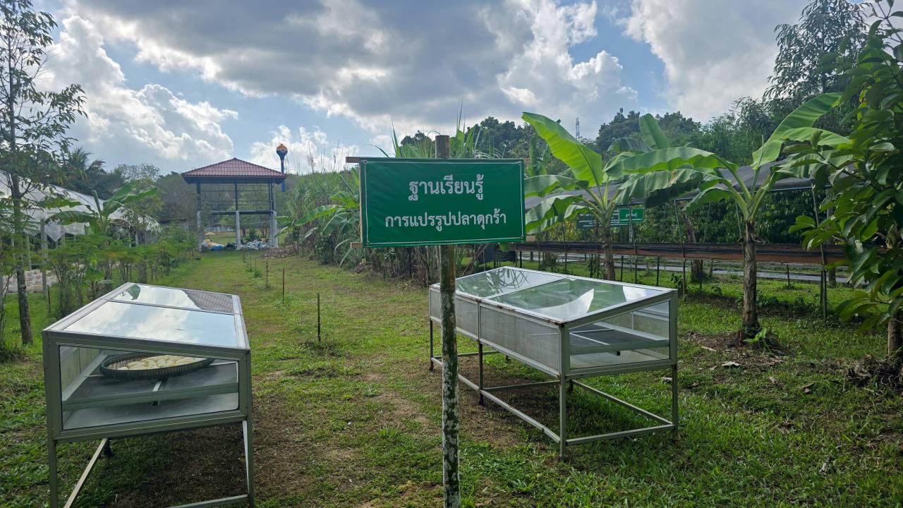 ภาพประกอบที่ 9