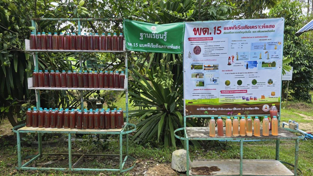 ภาพประกอบที่ 11