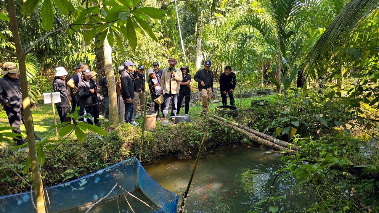 ภาพประกอบที่ 3