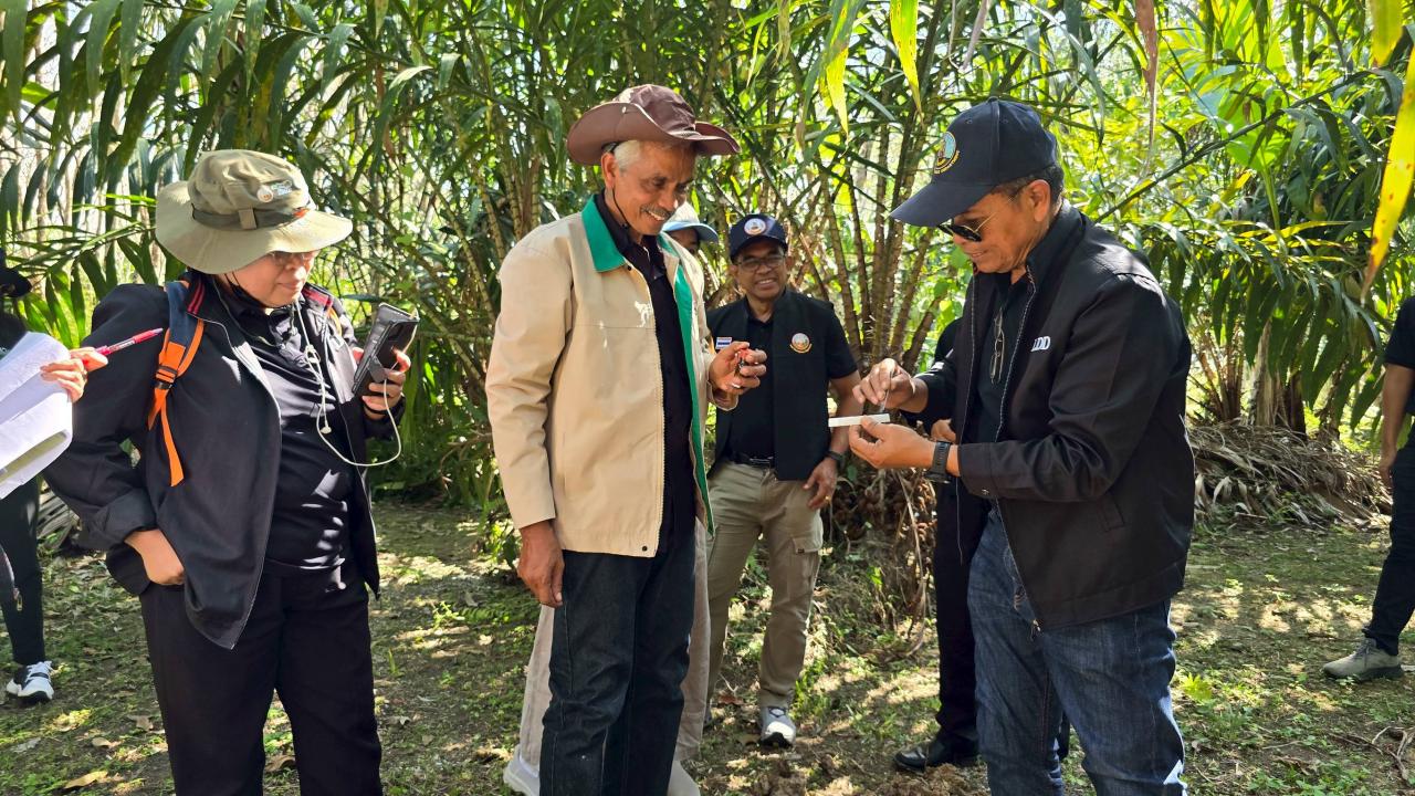 ภาพประกอบที่ 7