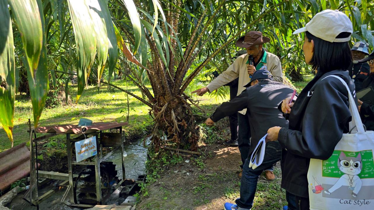 ภาพประกอบที่ 8