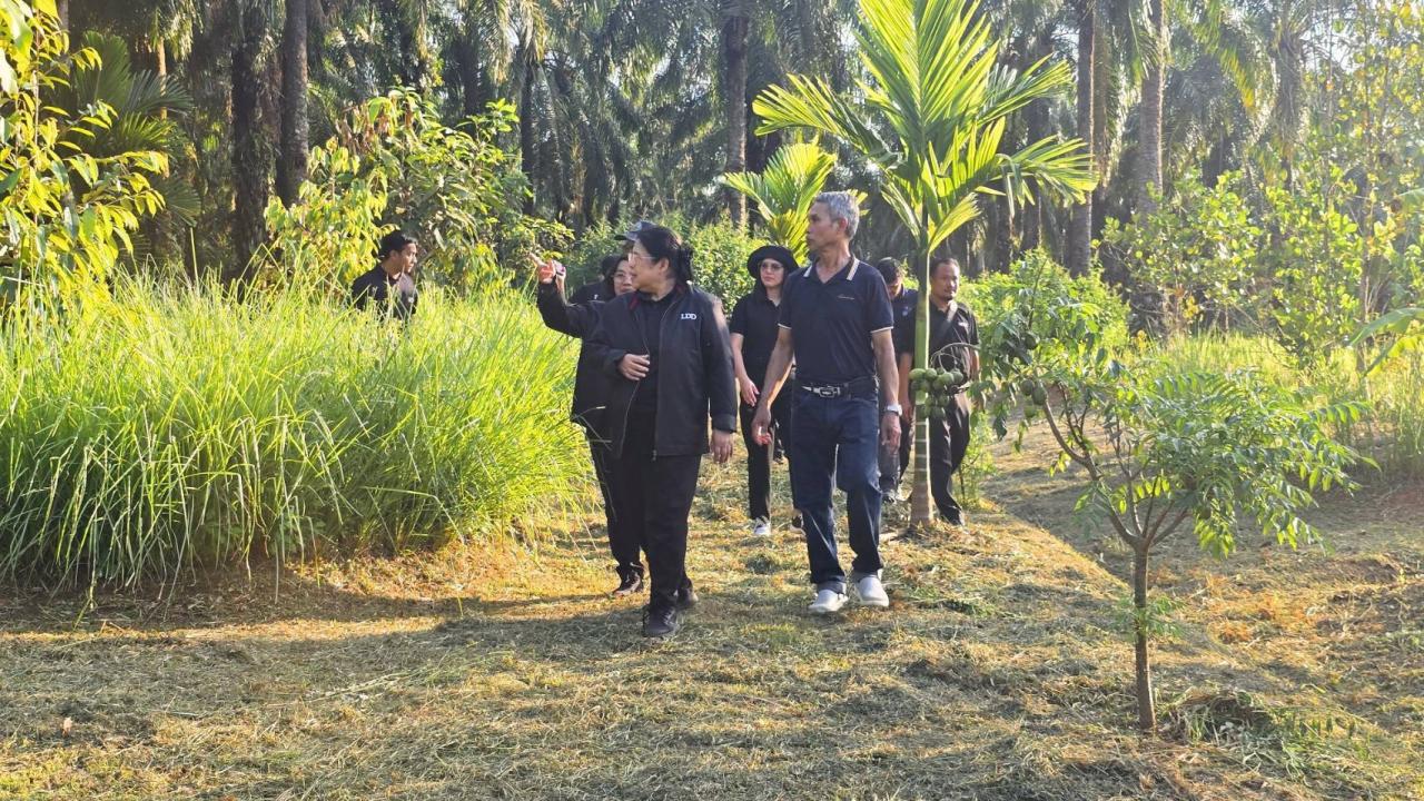 ภาพประกอบที่ 11