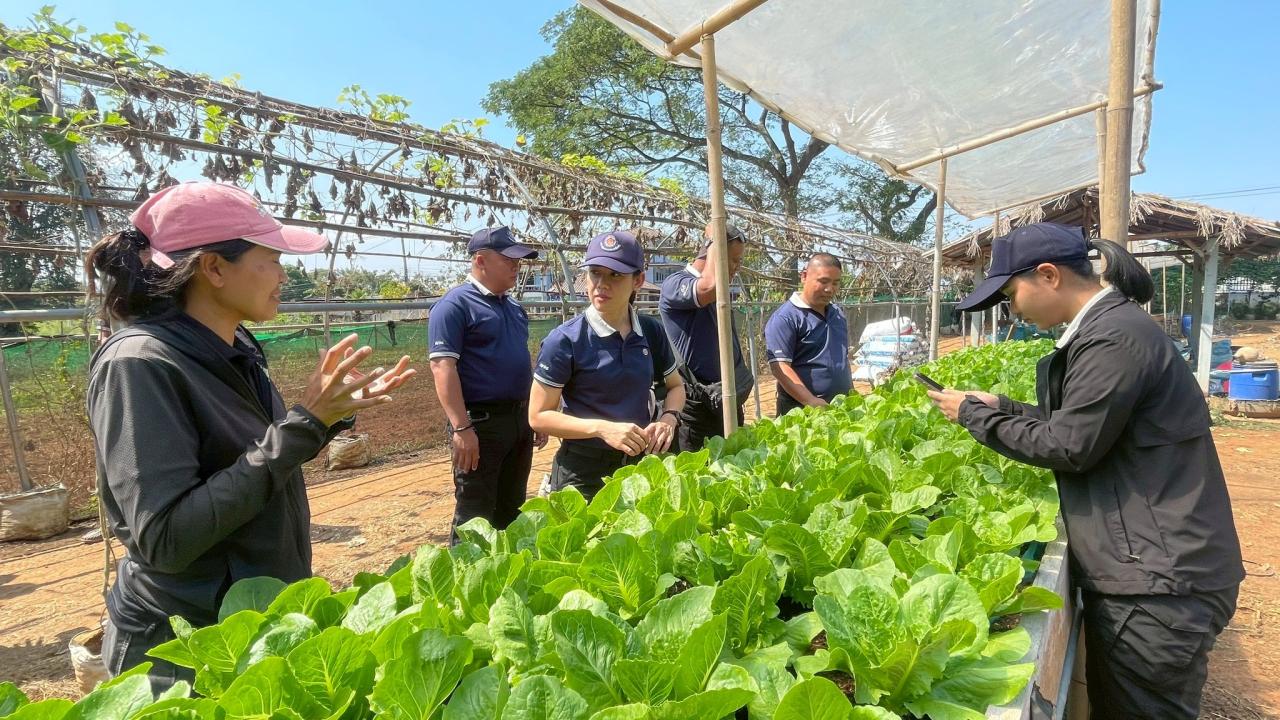 ภาพประกอบที่ 4