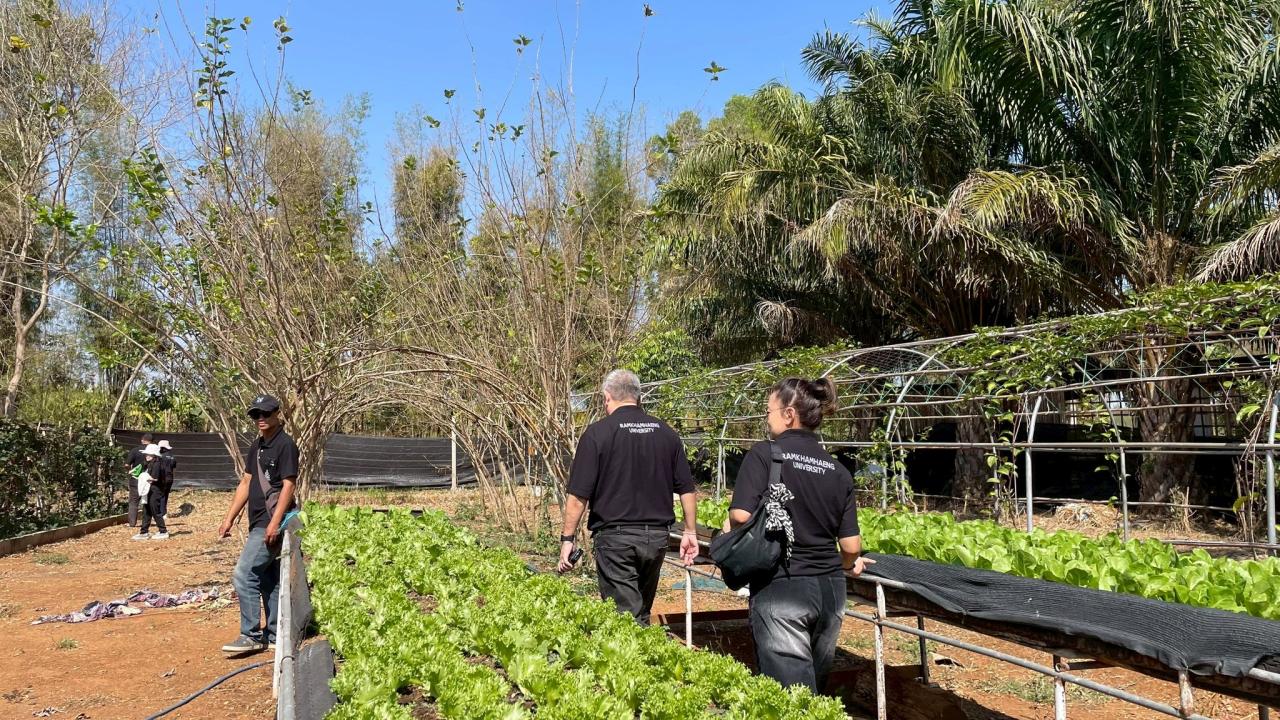 ภาพประกอบที่ 3