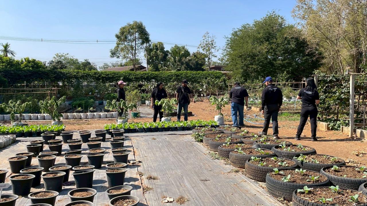 ภาพประกอบที่ 4