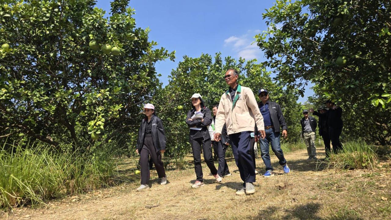 ภาพประกอบที่ 5