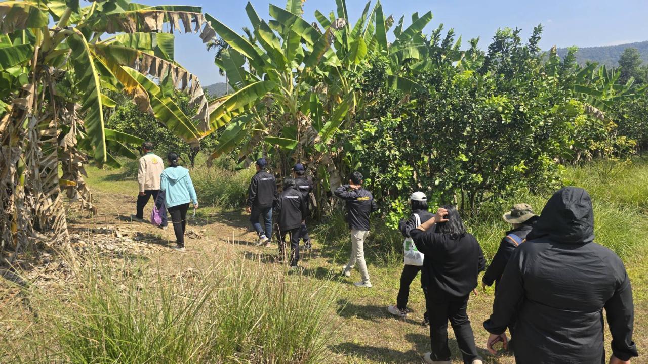 ภาพประกอบที่ 8