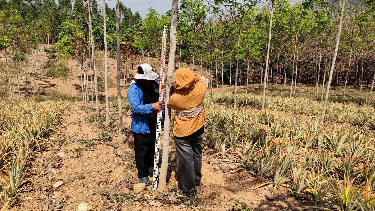 ภาพประกอบที่ 5