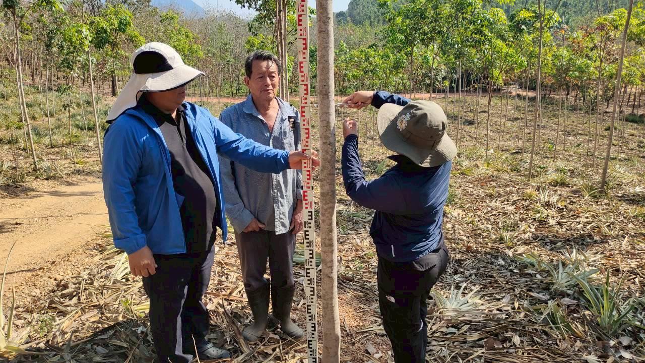 ภาพประกอบที่ 6