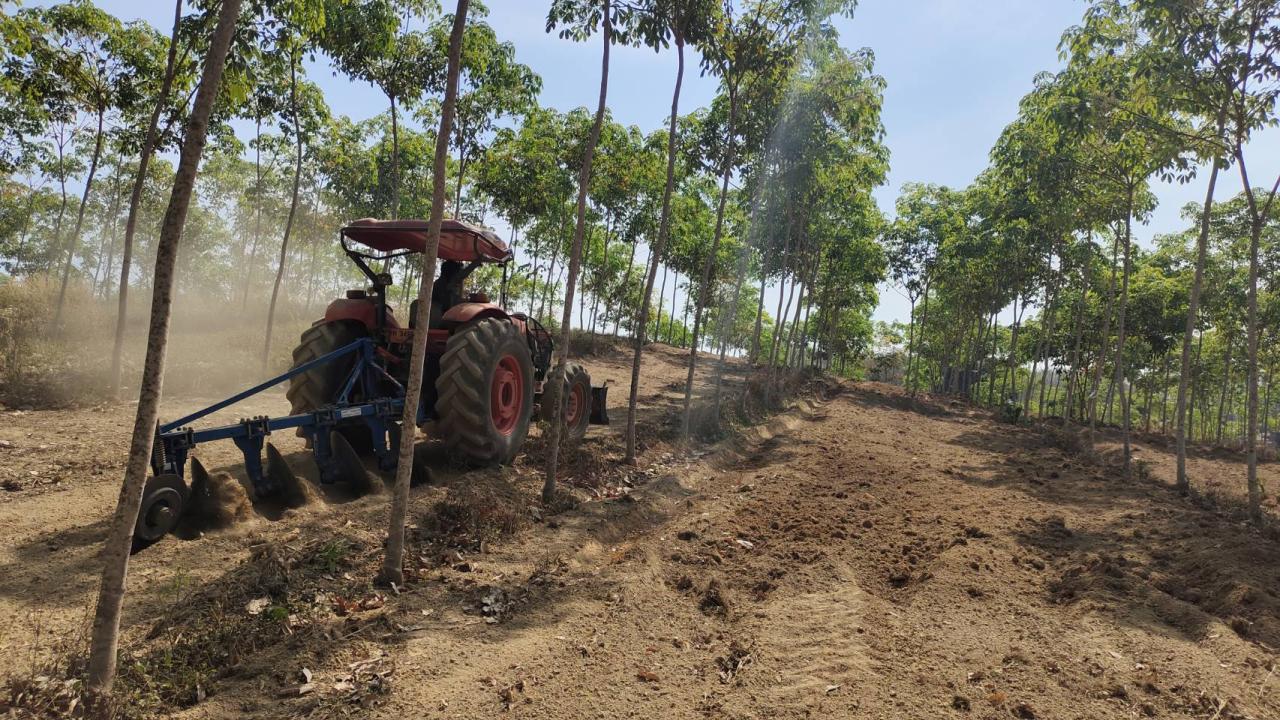 ภาพประกอบที่ 7