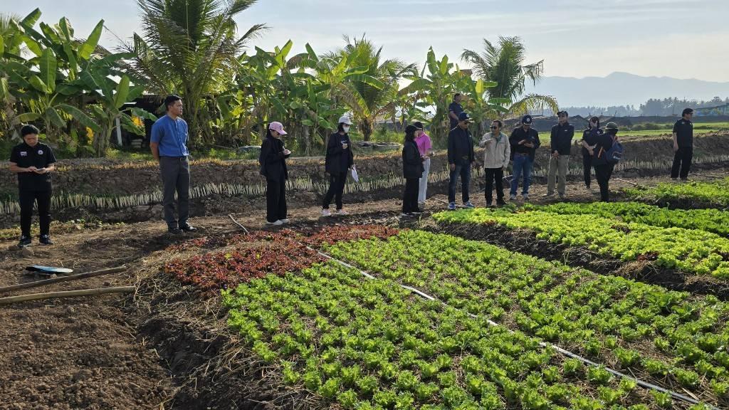 ภาพประกอบที่ 3