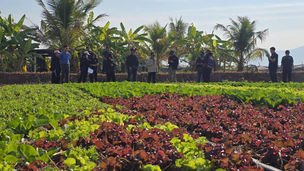 ภาพประกอบที่ 4