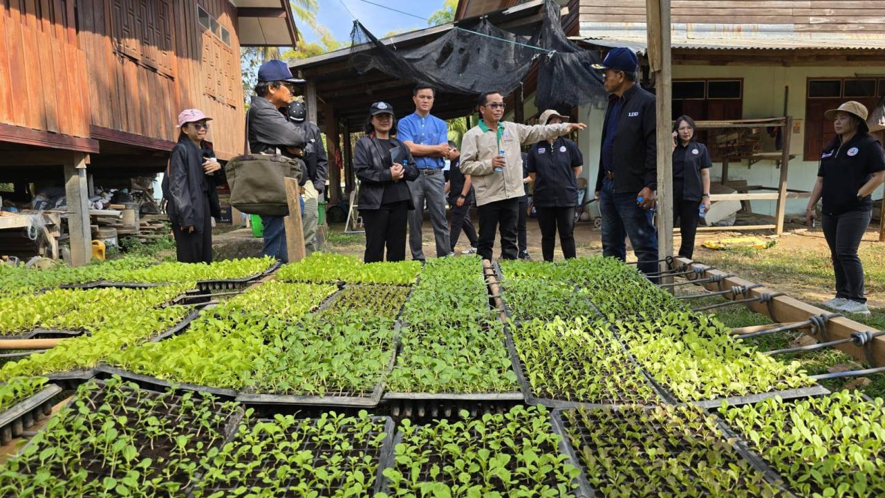 ภาพประกอบที่ 5