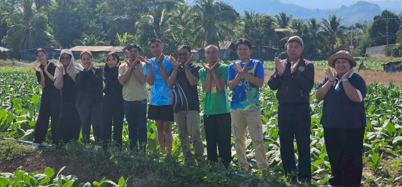 ภาพประกอบที่ 6